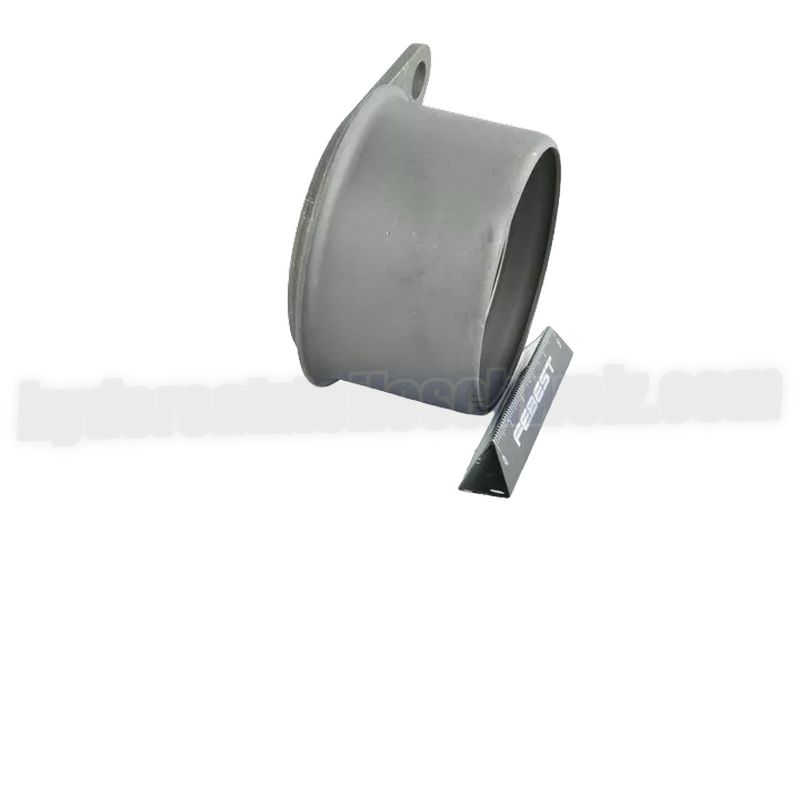 Byd Ersatzteilkatalog Zahnriemen Spannrolle